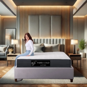 Foam Mattress